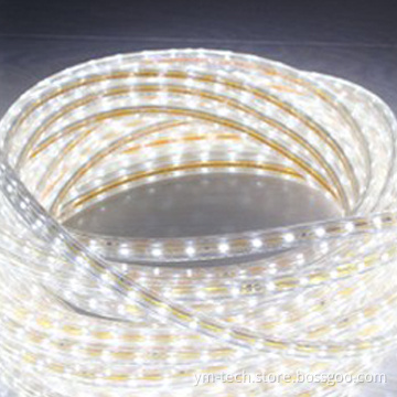 220V LED Flexible Strip Lights with CE & RoHS Approval